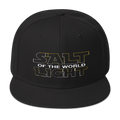 Salt and Light of the world - SnapBack - PeculiarPeople StandOut Christian Apparel